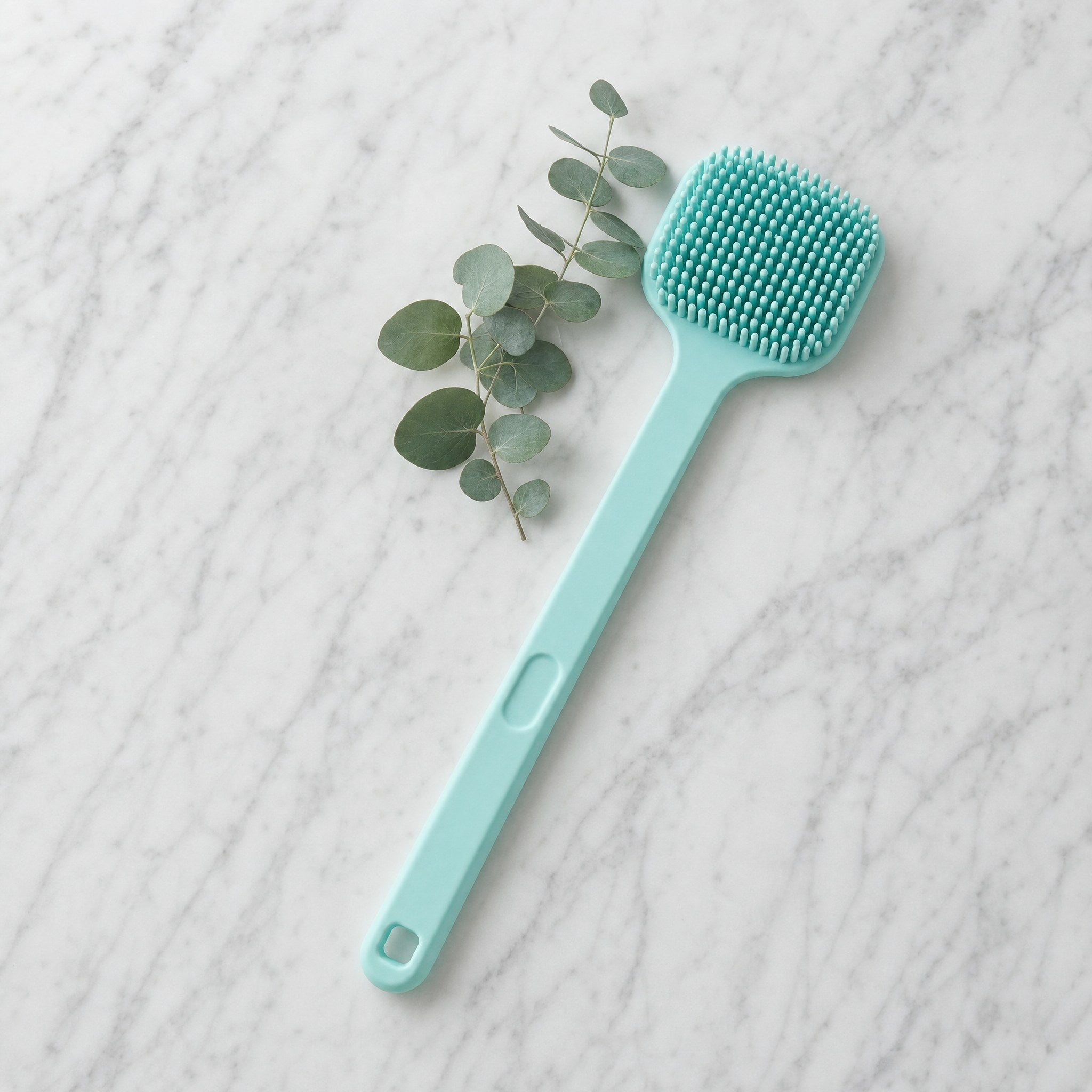 Brush Buddy מבט מלמעלה על שיש עם אקליפטוס